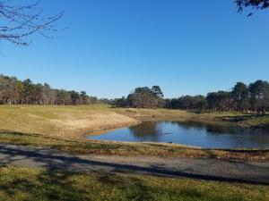 Four Seasons Sea Oaks golf